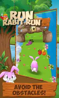 Play Run Rabbit Run