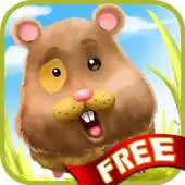 Free play online Run Run Hamster Free APK