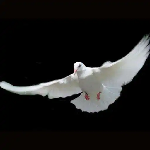 Play Russian Bible and Gospel Songs APK