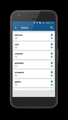 Play Russian Czech Dictionary