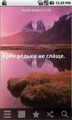 Play Russian Proverbs
