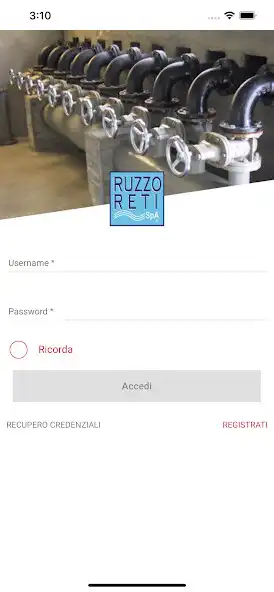 Play Ruzzo Reti as an online game Ruzzo Reti with UptoPlay