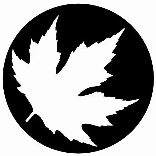 Free play online RVCair-II APK