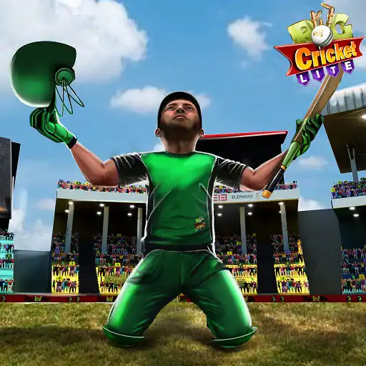 Play RVG T20 Cricket Champions Lite APK