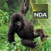 Free play online Rwanda Travel Guide APK Free play online Rwanda Travel Guide APK