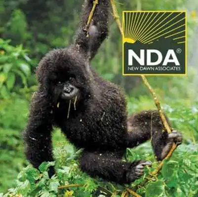 Play Rwanda Travel Guide