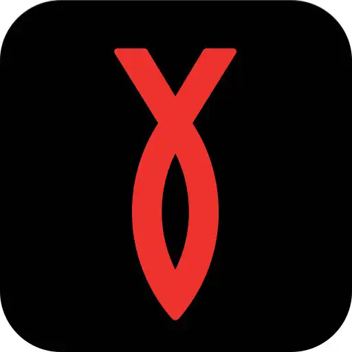 Play Ryba International APK Play Ryba International APK