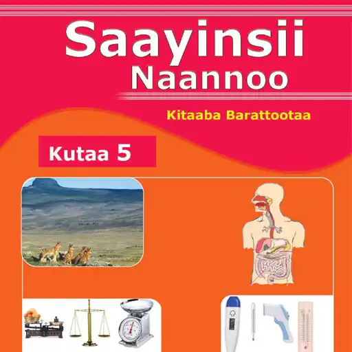 Play Saayinsii Naannoo Kutaa 5ffaa APK