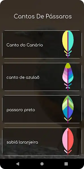 Play Sabiá Laranjeira and enjoy Sabiá Laranjeira with UptoPlay Play Sabiá Laranjeira and enjoy Sabiá Laranjeira with UptoPlay