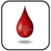 Free play online SABM APK