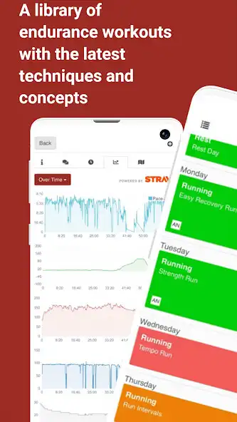 Play Sacfit  and enjoy Sacfit with UptoPlay