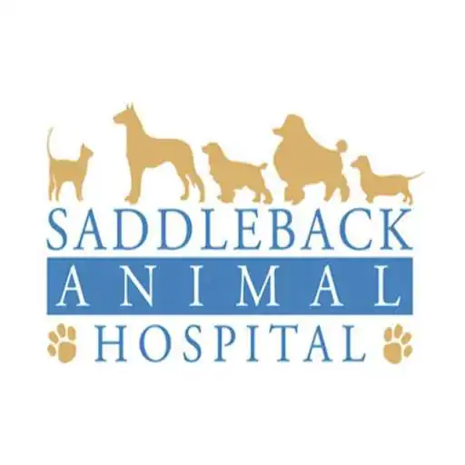 Play Saddleback AH APK Play Saddleback AH APK