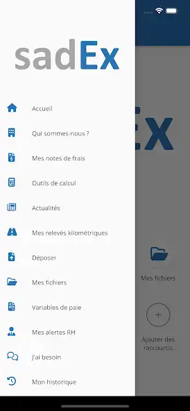 Play sadEx expert-comptable as an online game sadEx expert-comptable with UptoPlay