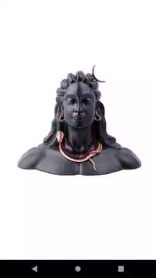 Play Sadhguru Videos