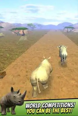 Play Safari Animal Jam
