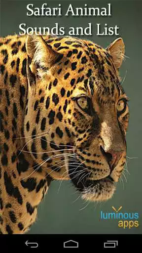 Play APK Safari Animal Sounds and List  and enjoy Safari Animal Sounds and List with UptoPlay com.luminousapps.safarianimals
