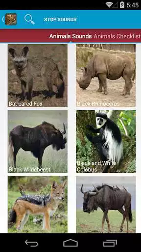 Play APK Safari Animal Sounds and List  and enjoy Safari Animal Sounds and List with UptoPlay com.luminousapps.safarianimals