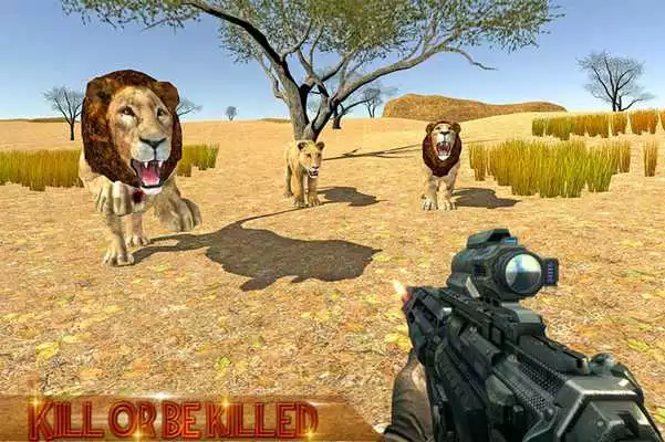 Play Safari Hunter 4x4