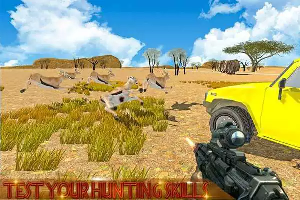 Play Safari Hunter 4x4