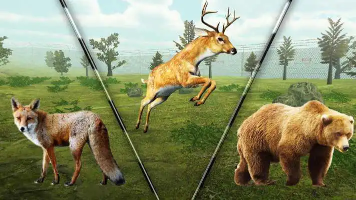 Play Safari Hunting Challenge