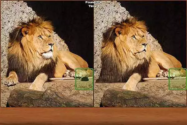Play Safari Spot the Difference