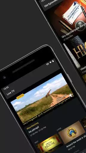 Play Safari TV as an online game Safari TV with UptoPlay