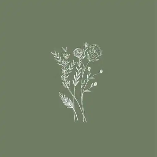 Play Sage Green Aesthetic Wallpaper APK