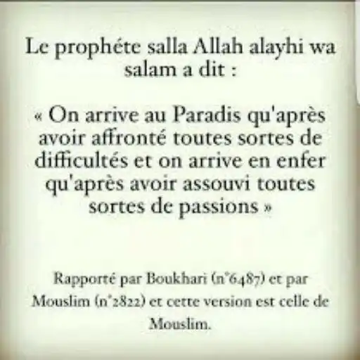 Play sahih al bukhari pdf as an online game sahih al bukhari pdf with UptoPlay