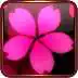 Free play online Sakura Falling Live Wallpaper  APK
