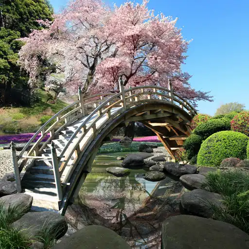 Play Sakura Garden Live Wallpaper APK Play Sakura Garden Live Wallpaper APK