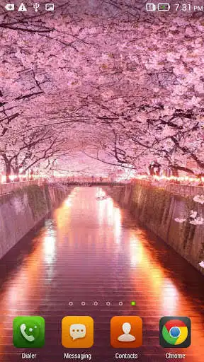 Play Sakura HD Live Wallpaper  and enjoy Sakura HD Live Wallpaper with UptoPlay