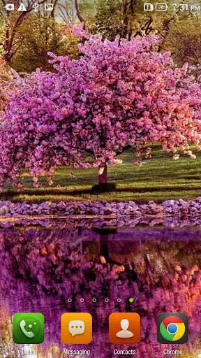 Play Sakura HD Live Wallpaper as an online game Sakura HD Live Wallpaper with UptoPlay