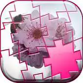 Free play online Sakura Jigsaw Puzzles APK Free play online Sakura Jigsaw Puzzles APK
