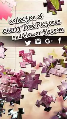 Play Sakura Jigsaw Puzzles