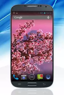 Play Sakura Live Wallpaper