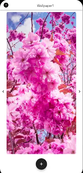 Play Sakura Wallpapers HD  and enjoy Sakura Wallpapers HD with UptoPlay