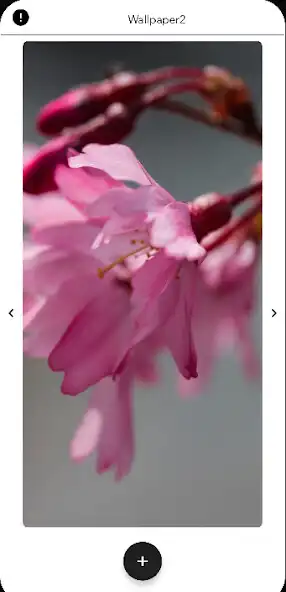 Play Sakura Wallpapers HD as an online game Sakura Wallpapers HD with UptoPlay