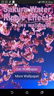Play Sakura Water Ripple Effect