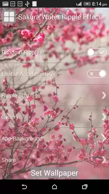 Play Sakura Water Ripple Effect