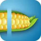 Free play online Salad Factory APK