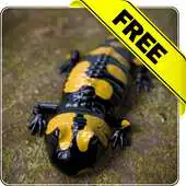 Free play online Salamander Free live wallpaper APK