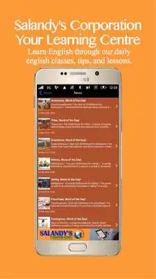 Play Salandys Corporation