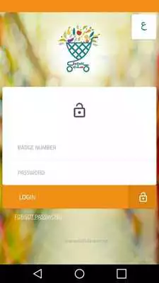 Play Sallati Shopper/driver