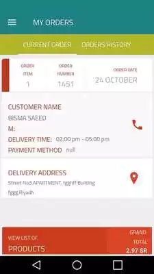 Play Sallati Shopper/driver