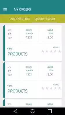 Play Sallati Shopper/driver