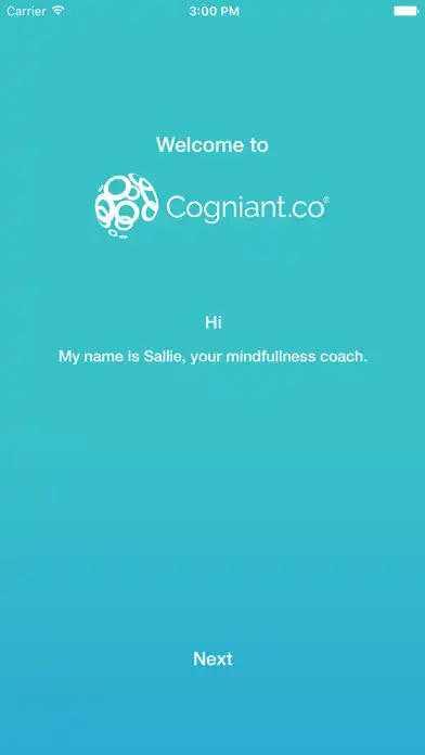 Play Sallie  and enjoy Sallie with UptoPlay