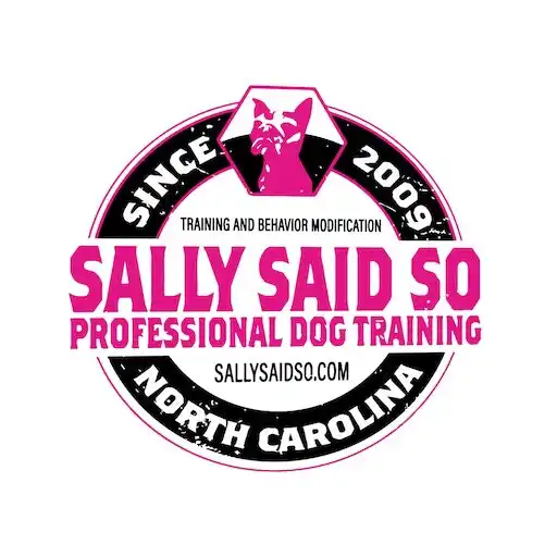 Play Sally Said So APK Play Sally Said So APK
