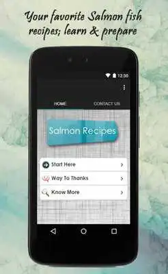 Play Salmon Recipes Guide