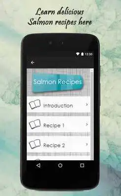 Play Salmon Recipes Guide