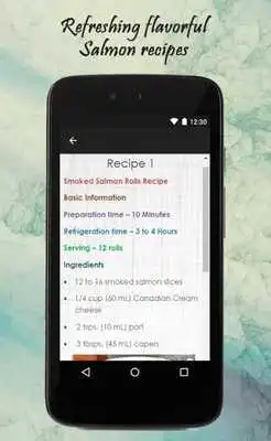 Play Salmon Recipes Guide